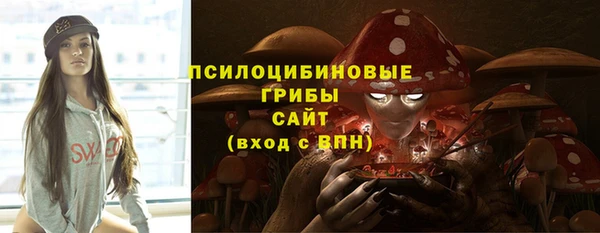mdpv Богданович