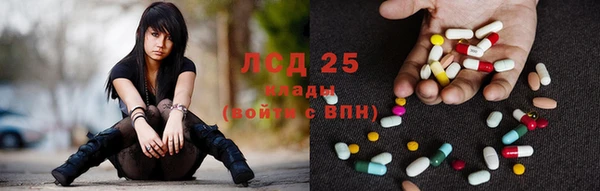 mdpv Богданович