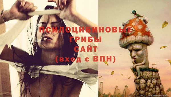 амфетамин Богородицк