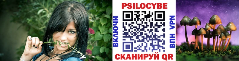 купить наркотик  Кущёвская  Псилоцибиновые грибы Cubensis 